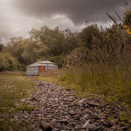阿曼福德 Gilfach Gower Farm Luxury Yurt With Hot Tub酒店 外观 照片